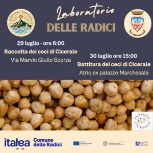 Cicerale